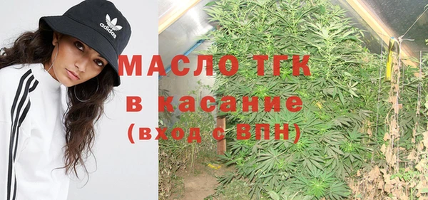 стаф Новокубанск