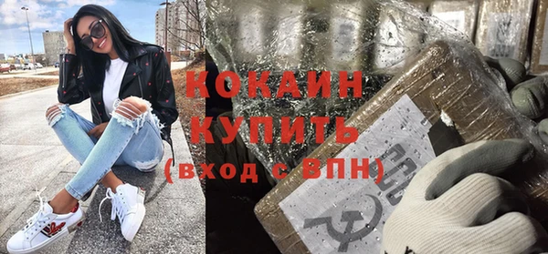 спайс Аша