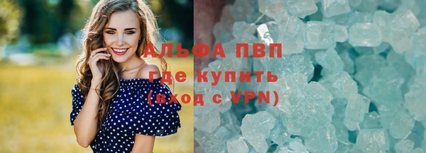 стаф Новокубанск