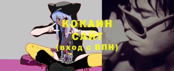 дживик Новодвинск
