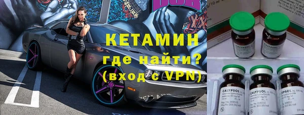 стаф Новокубанск