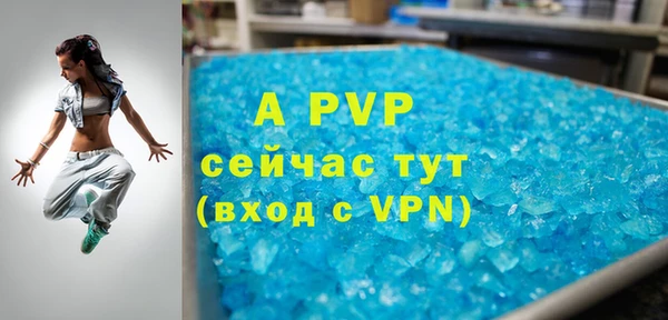 спайс Аша