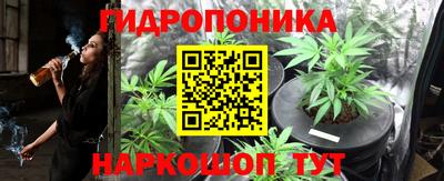 таблы Гусев