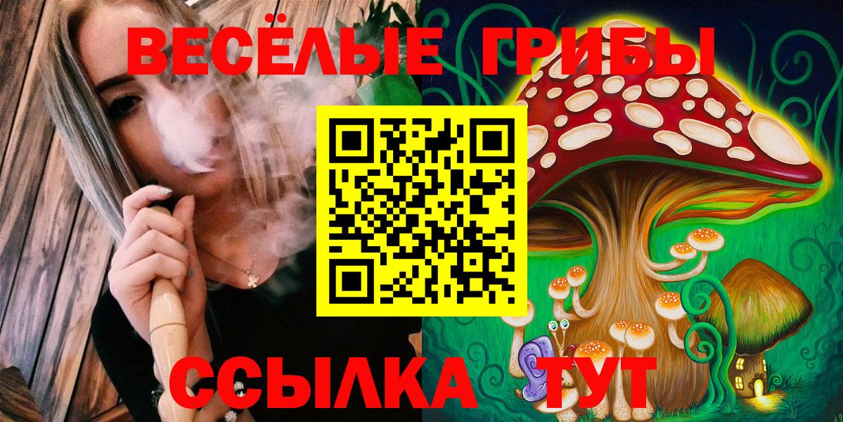 Ивантеевка  Псилоцибиновые грибы прущие грибы  Вход с VPN 