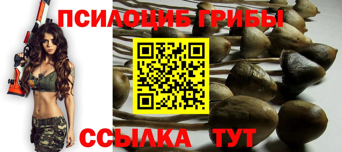 Псилоцибиновые грибы прущие грибы  Ивантеевка 