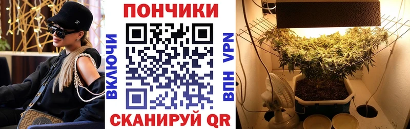 Бошки марихуана ГИДРОПОН  наркотики  кракен как войти  Ивантеевка 